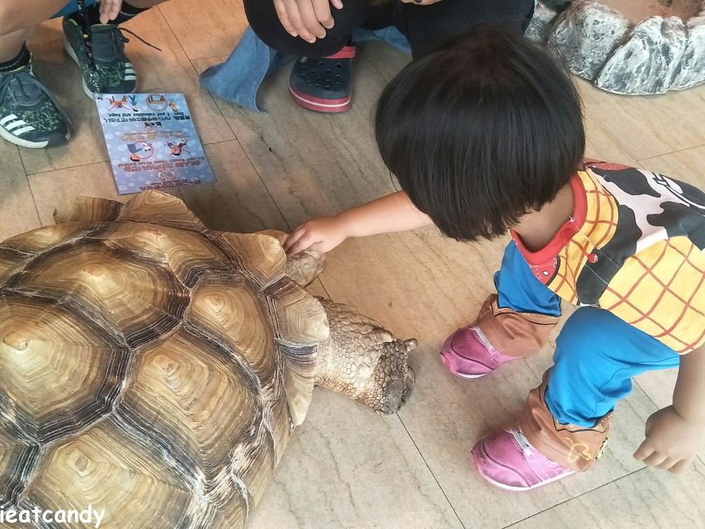 天保山動物園│大阪港景點，讓小孩跟動物多接觸的全新體驗。
