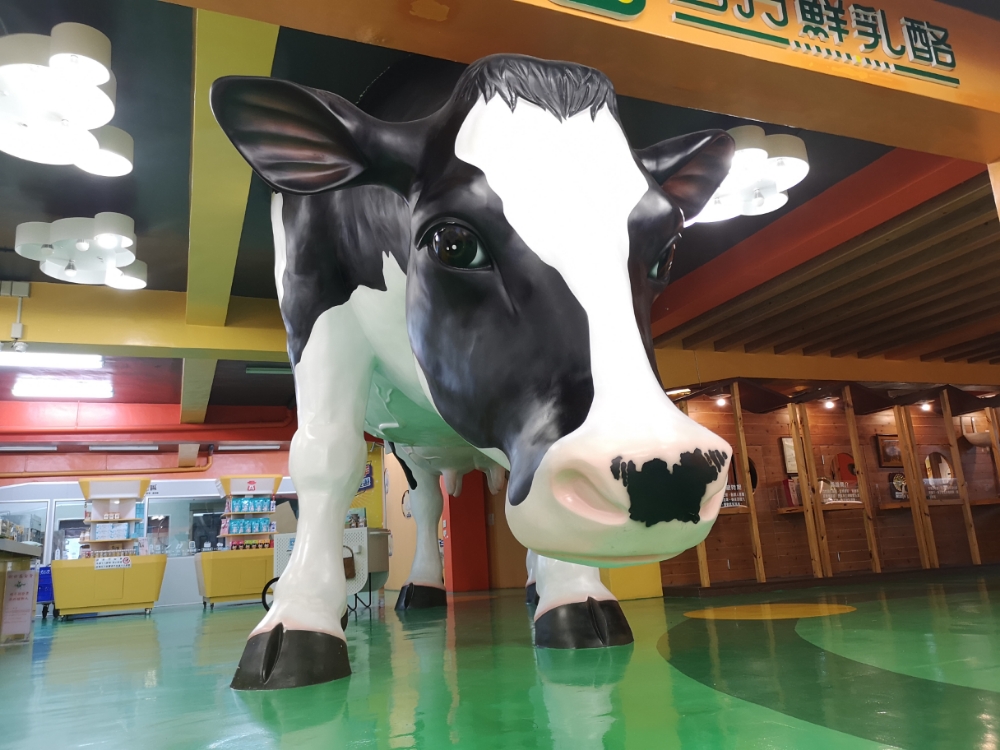 四方鮮乳酪故事館 │ 苗栗景點，苗栗親子景點，超大乳牛就在這！