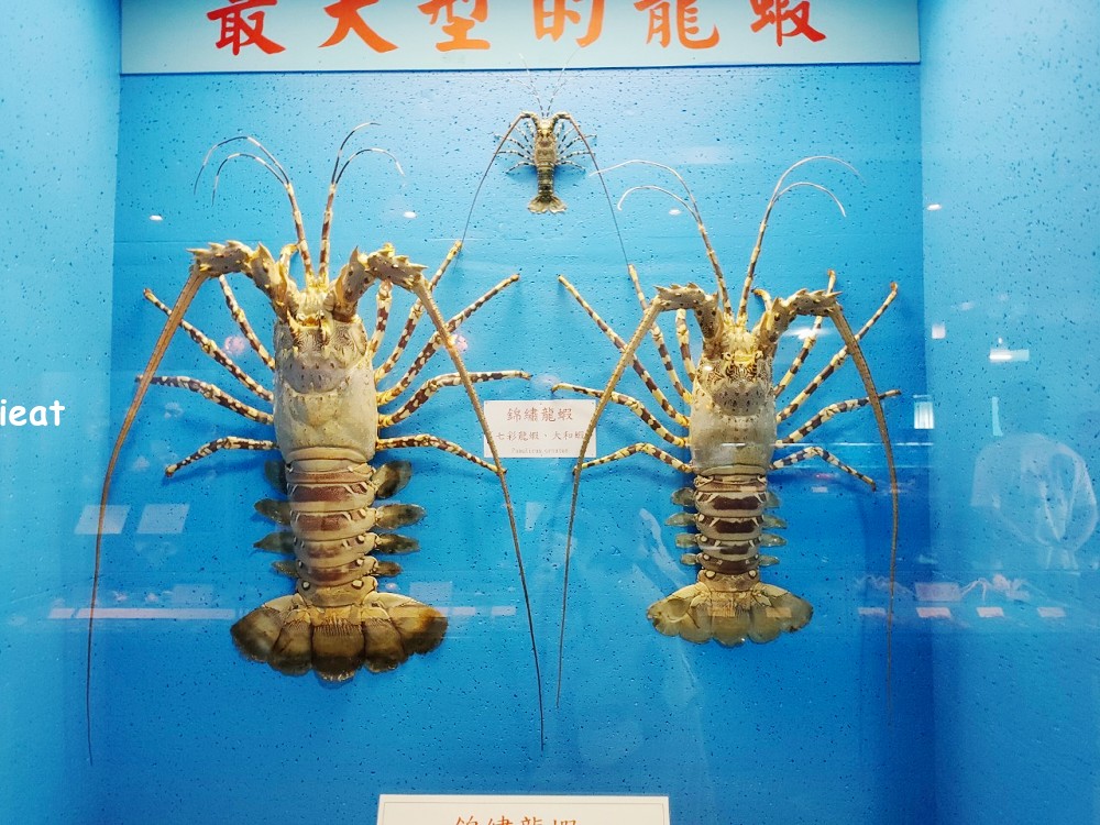 竹灣螃蟹博物館 澎湖親子景點 澎湖景點